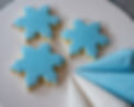 Winter - Snowflakes-3.jpg