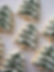 Winter Cookies-21.jpg