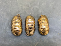 Bronze woodlice (lost wax casting)