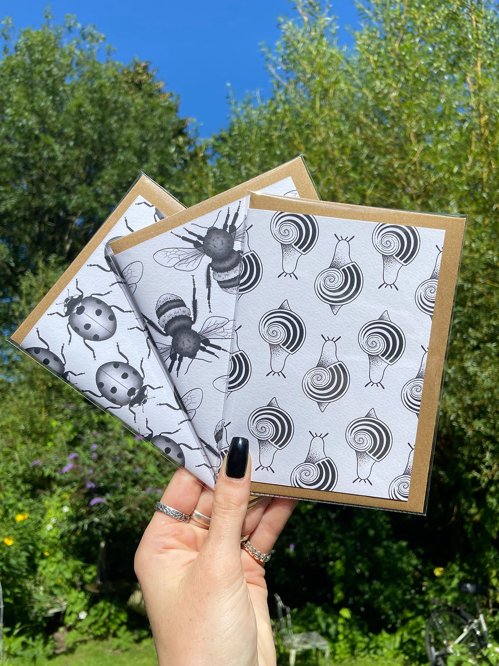 Mixed Card Pack of x3