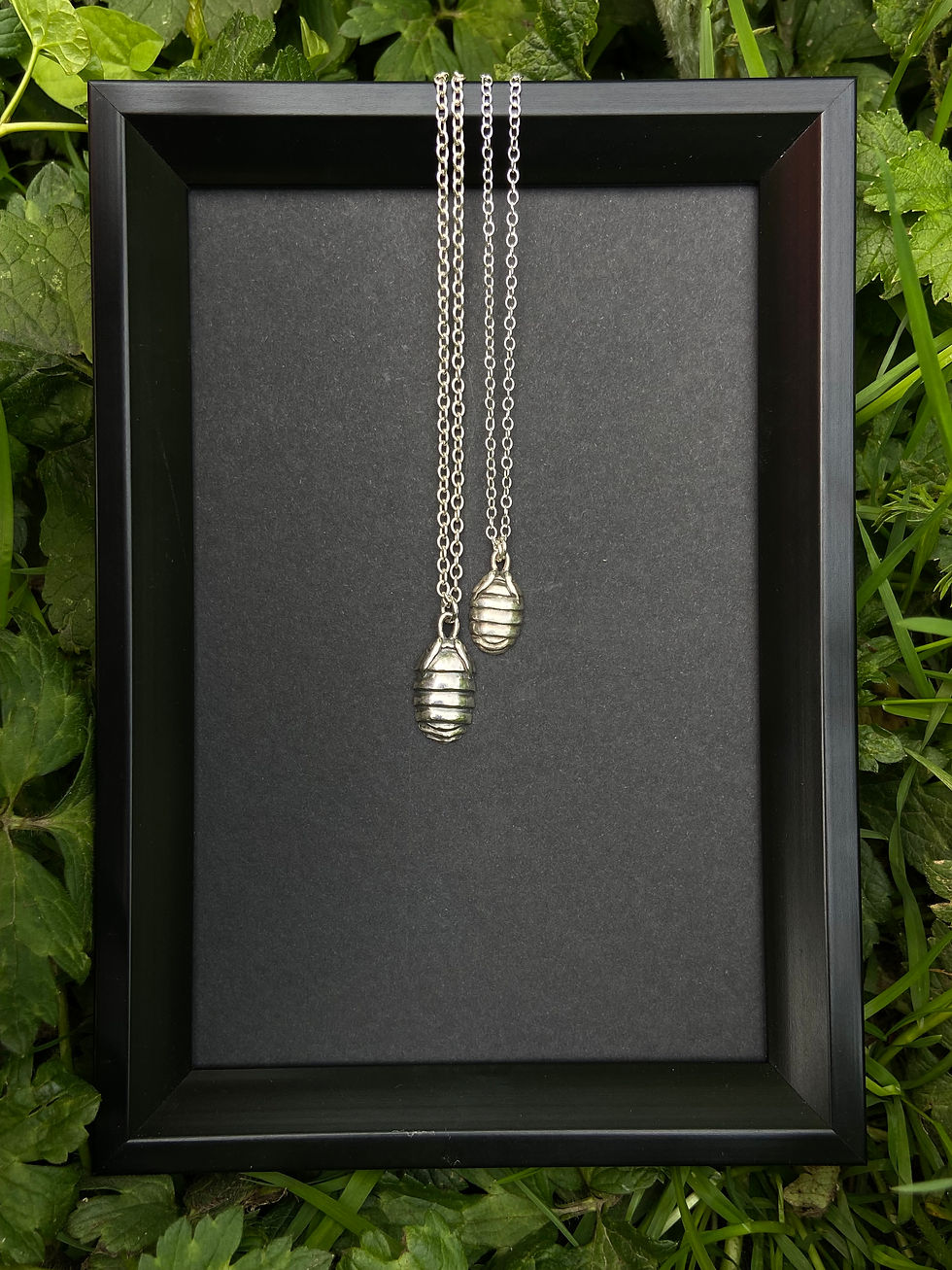 Thumbnail: Fine Silver Woodlouse