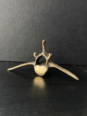Bronze vertebrae (lost wax casting)