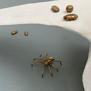 This piece of work is inspired by life and death with the use of recreated objects from within the natural world, all these objects have been altered with the use of scale and material, they are not replicas of nature, they are recreations of nature. I have created these nature inspired sculptures to show my audience the beauty of nature, but more particular, the bits of nature that is often unseen, such as death. Death is seen as a taboo and unsettling topic which often goes unseen and unspoken, so I have created my sculptures to confront my audience with this unsettling topic in a gently manner. The use of scale is very present in my work, it makes these items that would often be so small and unnoticed finally seen and finally appreciated. With my work I aim to change people views on death, to show people that death doesn’t have to be the end. Death doesn’t have to be a scary thing, it is a beautiful, natural process that people need to accept. Without death there is no life, death is just a part of life, living things must die for other living things to thrive. 