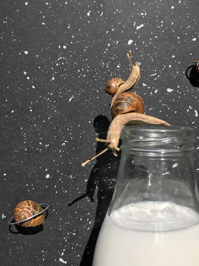 Polymer clay, acrylic paint, real snail shell, glass jar, milk, paper artwork inspired by a dream