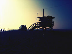 Venice Beach