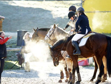 Pourquoi un coaching global change la progression du couple cavalier / cheval ?