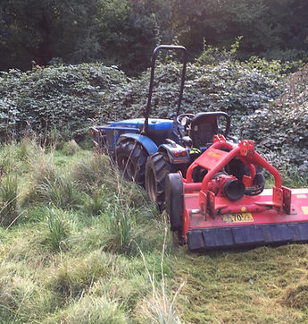 Alpine Dragone_edited.jpg