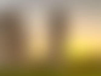 Spending Time With The Shelleys - A Travel Blog