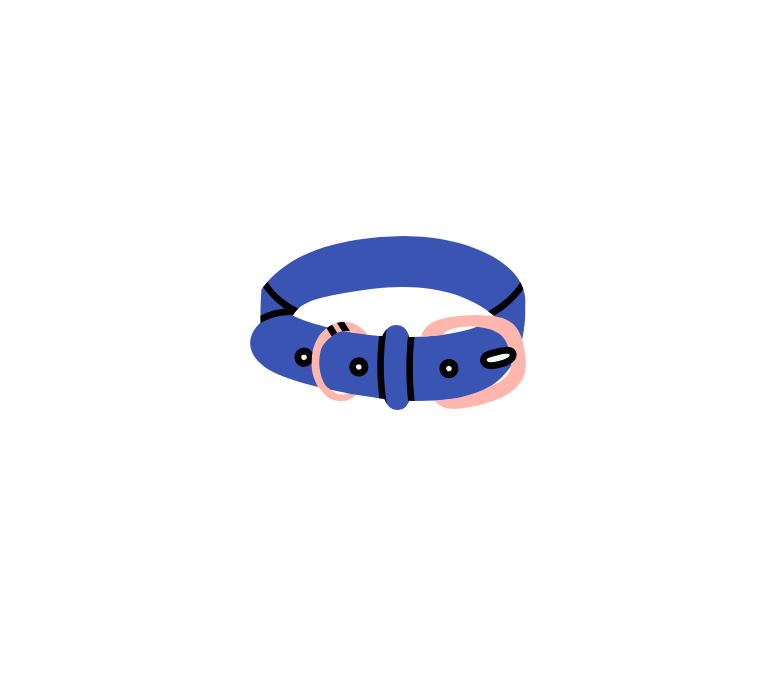 dog walk (30 minutes)