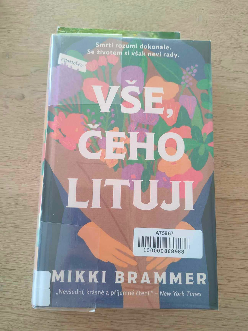 Vše, čeho lituji