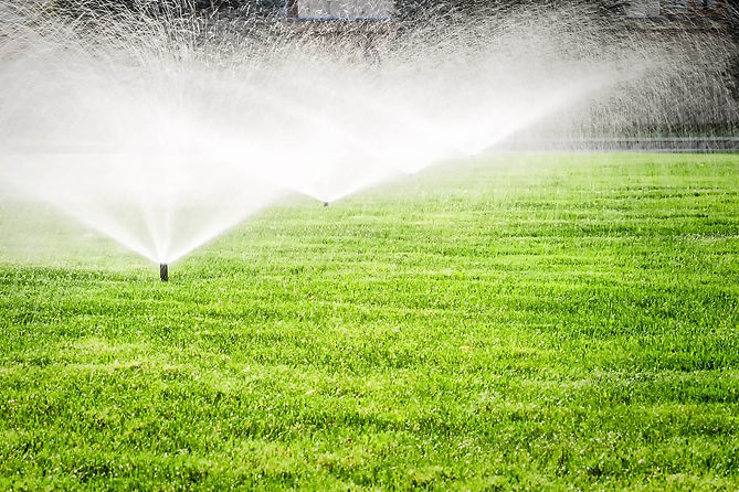 Irrigation.jpg