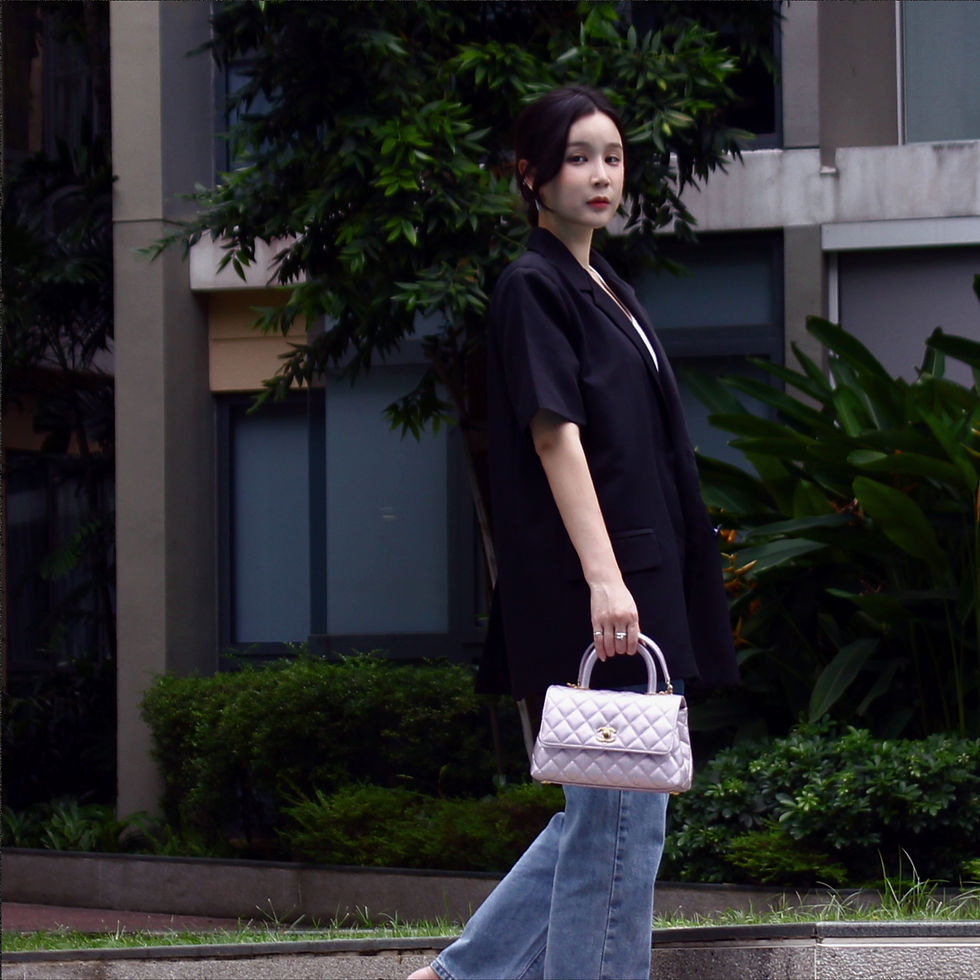 Chanel Coco Handle (Medium)