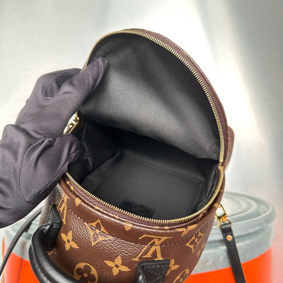 Thumbnail: Louis Vuitton Mini Palm Springs