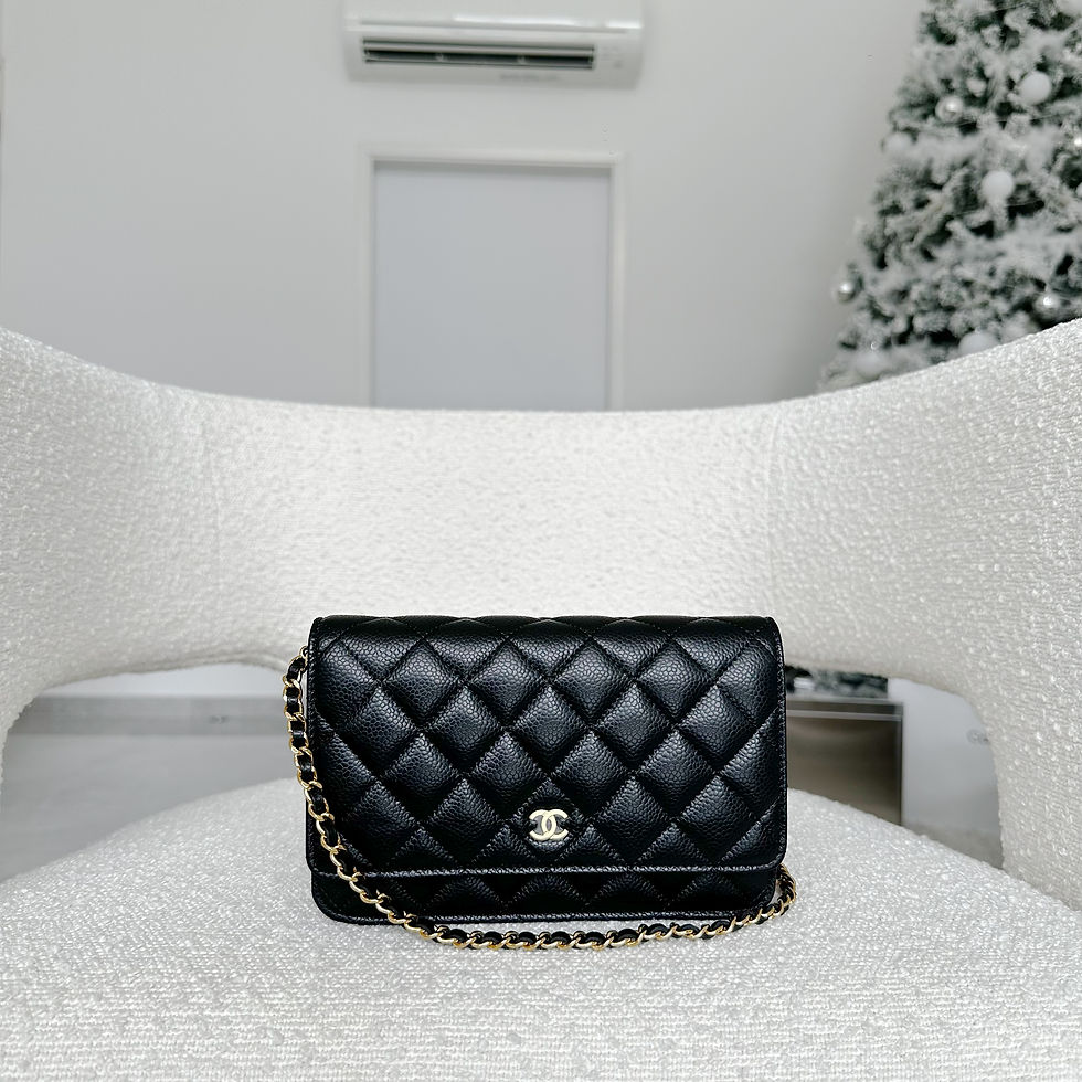 Chanel Wallet On Chain