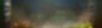 tmg website banner 13.jpg