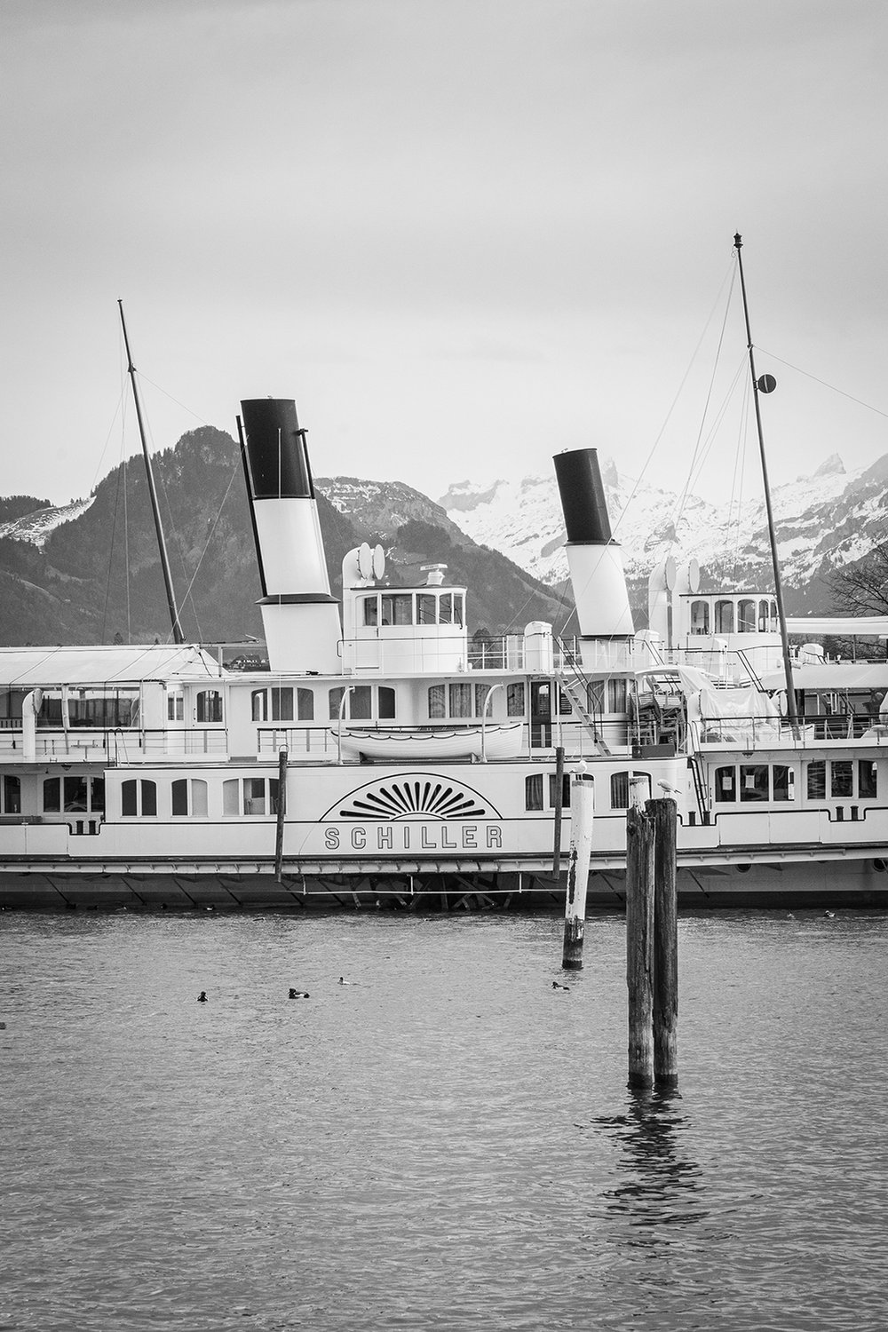 DS Schiller Luzern