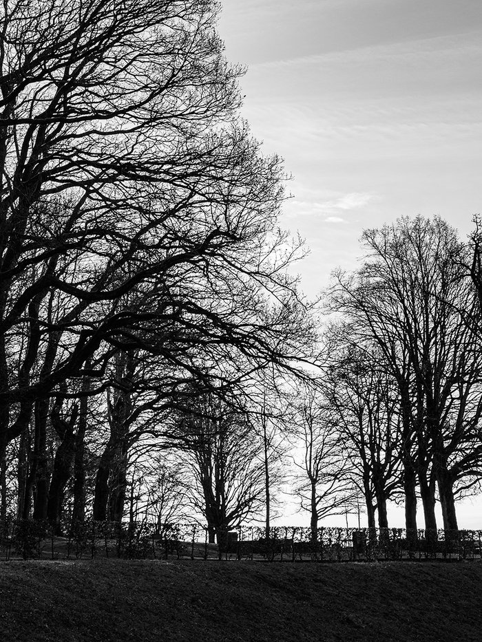 Goldenberg Winterthur Nr.3