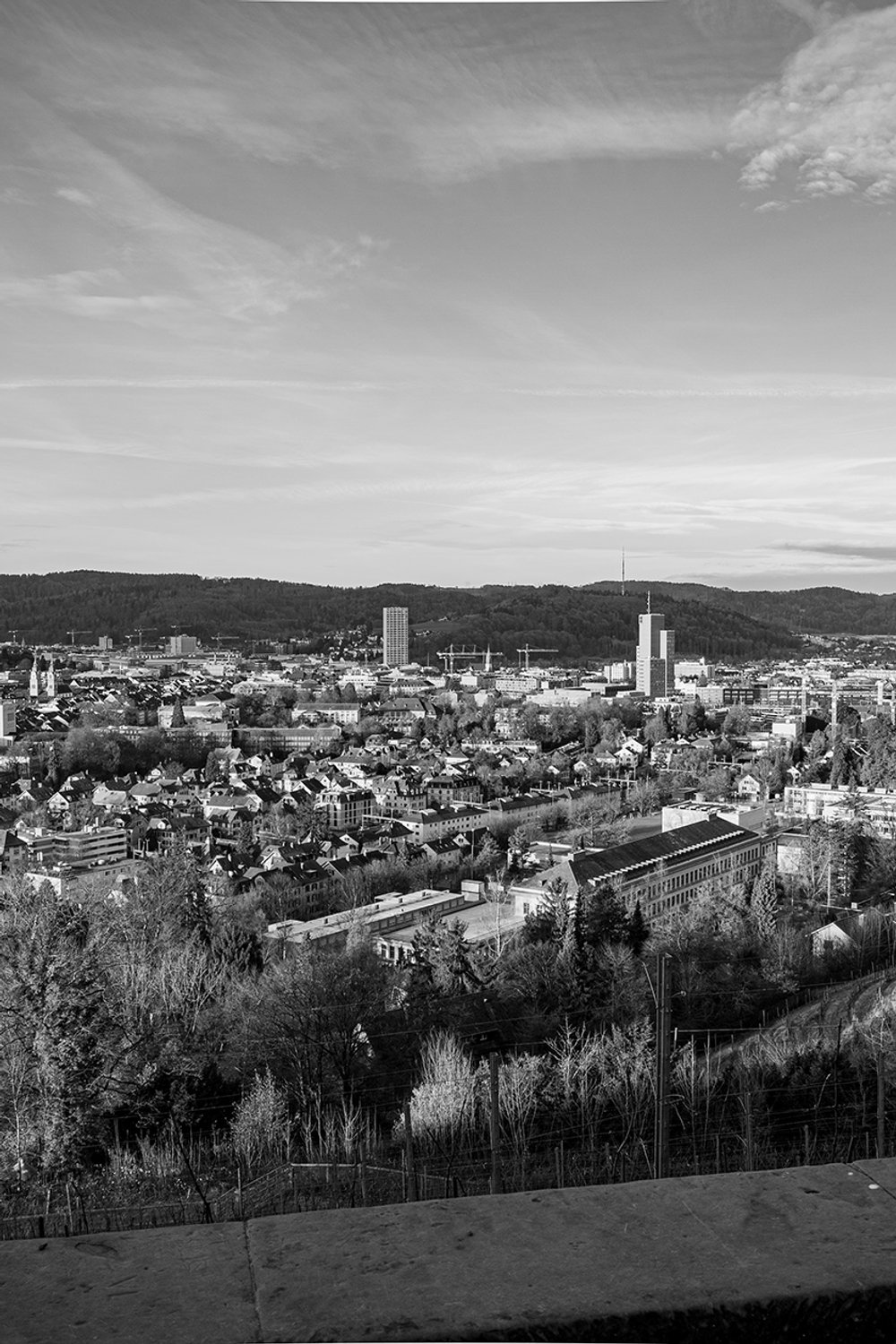 Goldenberg Winterthur Nr.1