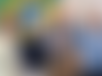 Emenda parlamentar destinada ao Curso de Capacitação dos Diretores associados