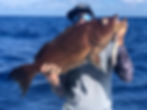 IMG-20181028-WA0010