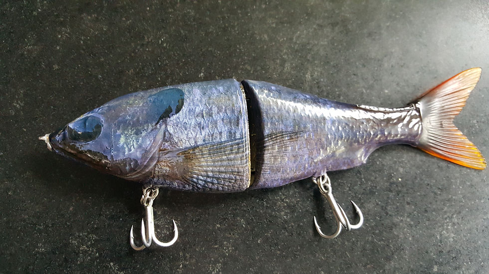 Pond Bluegill 8-pack