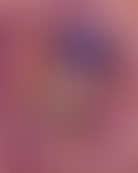 ✨ « T-rex et compagnie » d’Anne Schmauch et Gérald Guerlais ✨