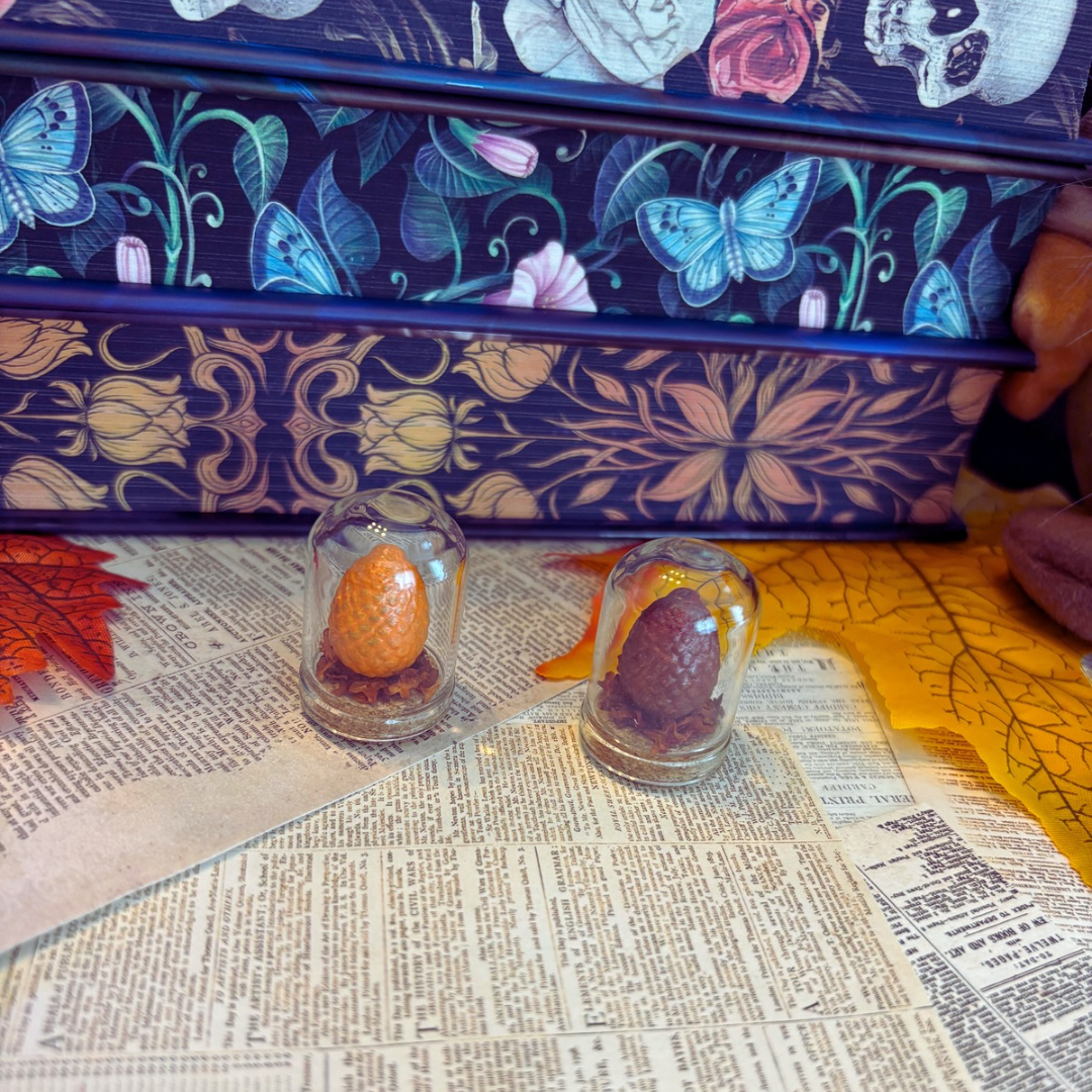 đ Mini Ćuf de dragon sous cloche â Solarys ou Kaelor