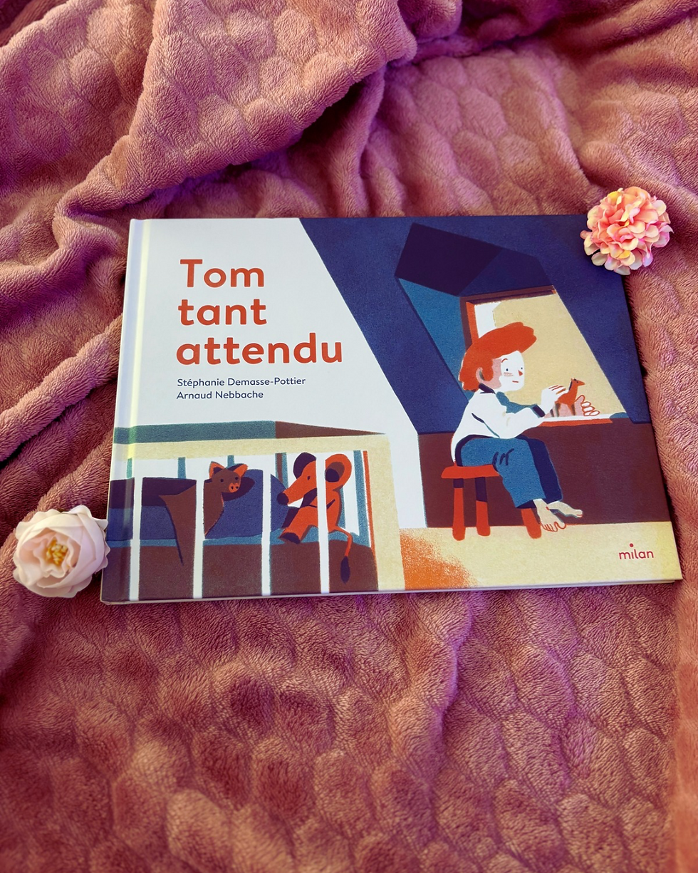 ✨ « Tom tant attendu » de Stéphanie Demasse-Pottier et Arnaud Nebbache ✨