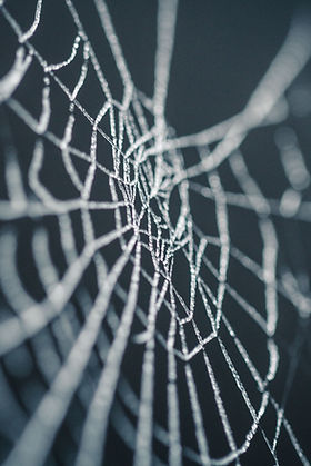 Spiderweb