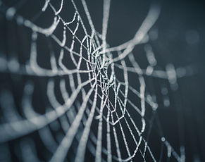 Telaraña