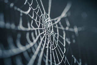 Teia de aranha