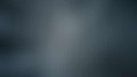 Natürliche Hausmittel, um Spinnen fernzuhalten – ohne sie zu töten