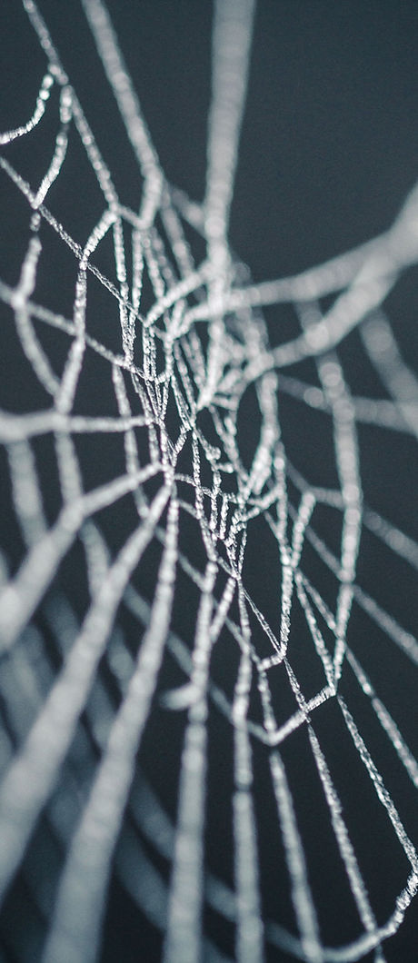 Spiderweb