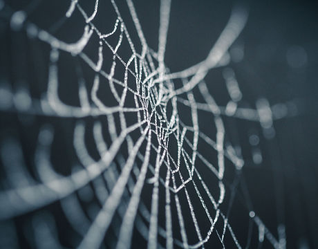 Spiderweb