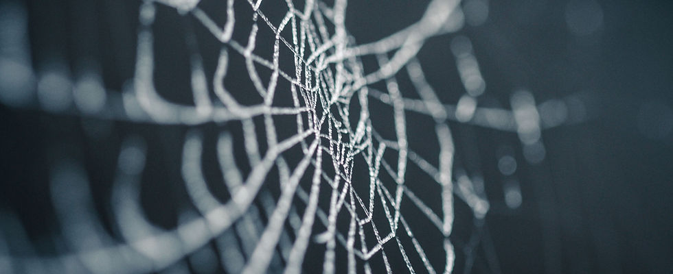 Spiderweb
