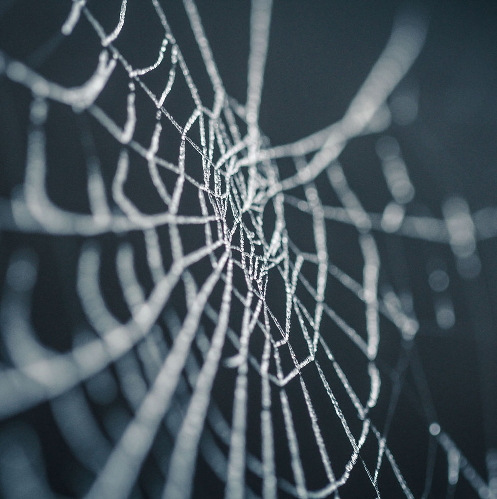 Spiderweb