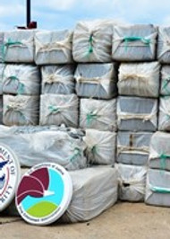 interagency drug bust.jpg