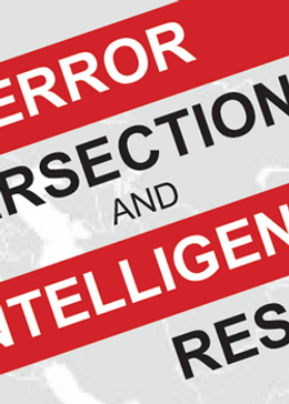 Crime-Terror Intersections and Intellige