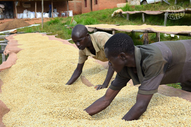 2021 Subscription Coffee - May
