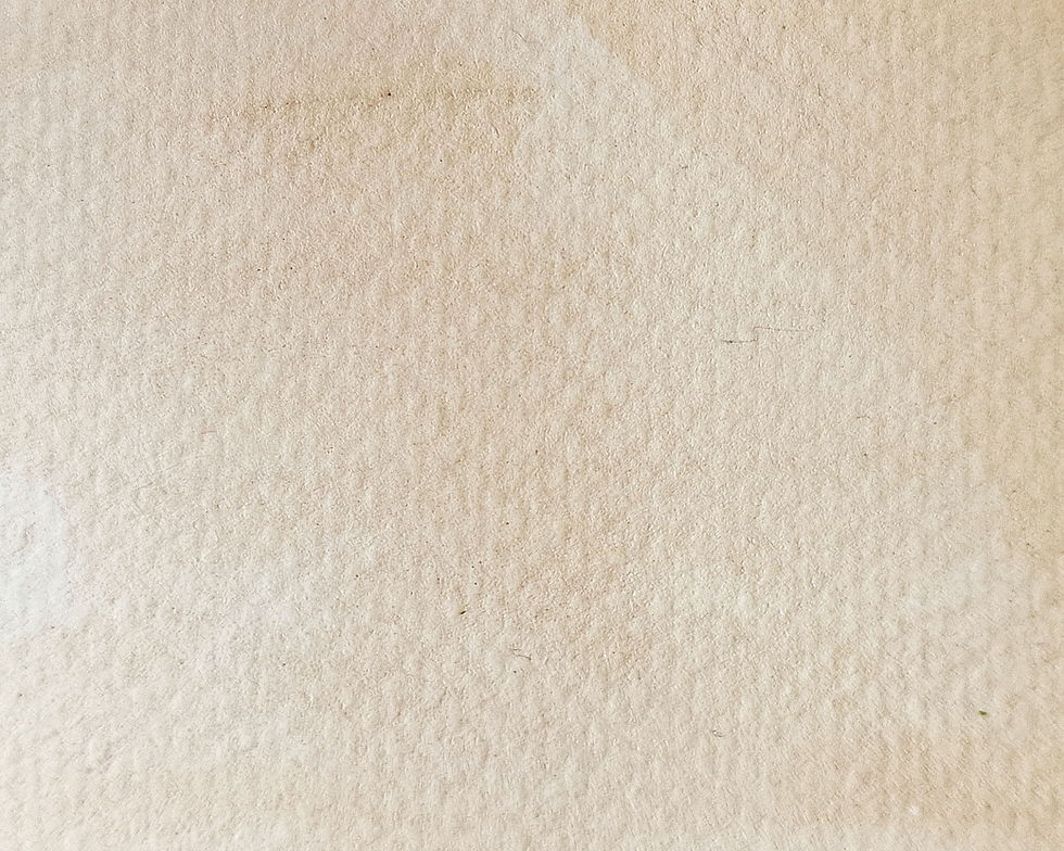 Miniatura: Les chouchous (2025)