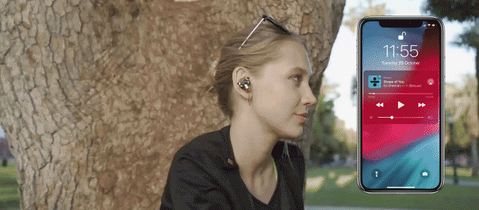 19.gif