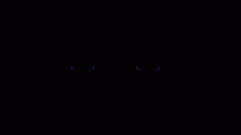 8.gif