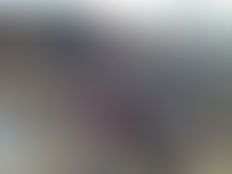 四賀村の福寿草を見に行きました。