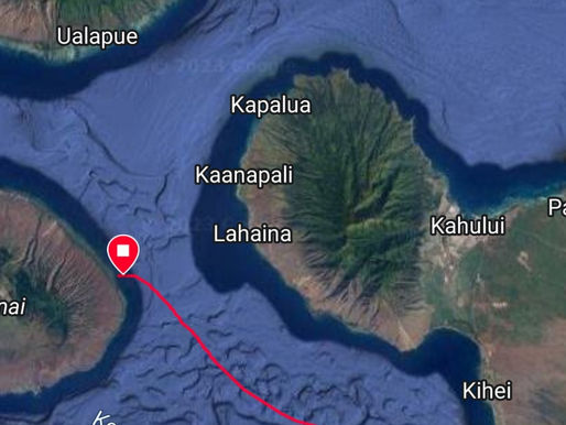 #Opportunity! Lessons from the ocean