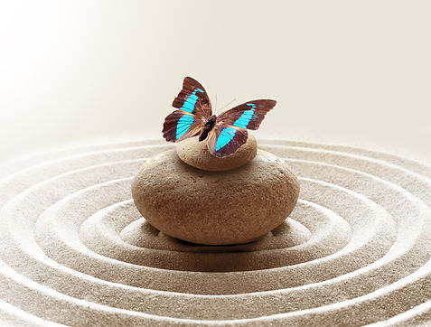 zen garden meditation stone background and butterfly with stones and circles in sand for r