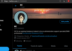 Twitter Backlink sample.png