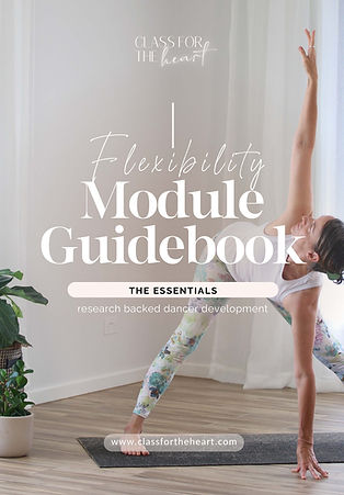 Flexibility guidebook_Page_01.jpg