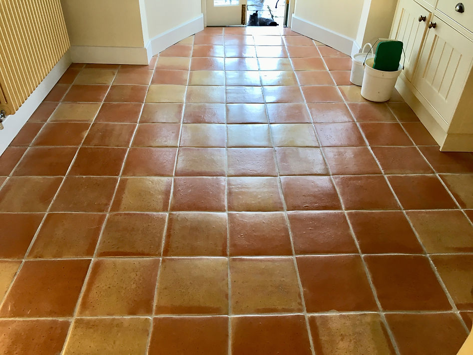 Terracotta cleaning Brighton Eastbourne Worthing Sussex.JPG