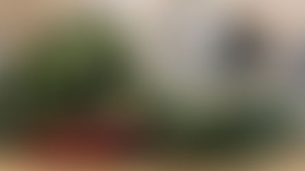 Decorating, Music, and Memories in the Making 