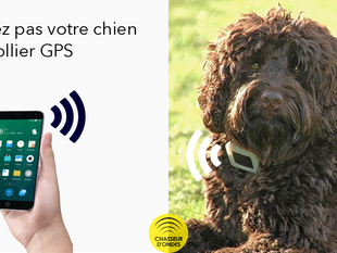 Un collier pour témoigner votre attachement
